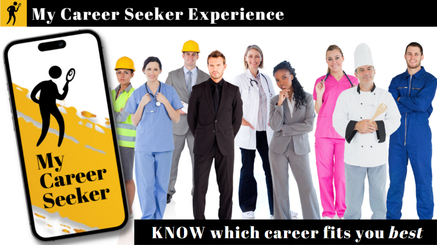 My Career Seeker Experience